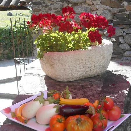 Maison d'hôtes De Ribard *