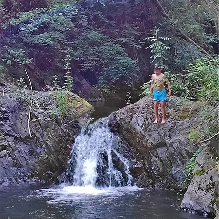 De Ribard بيت ضيافة Bréau-et-Salagosse